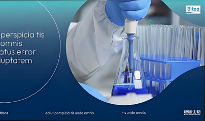 唐道科技与碧途生物达成合作，为其打造品牌数字官网