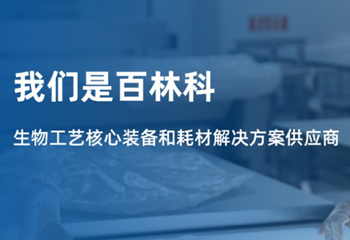 百林科
